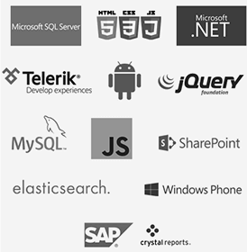 Software Development Services