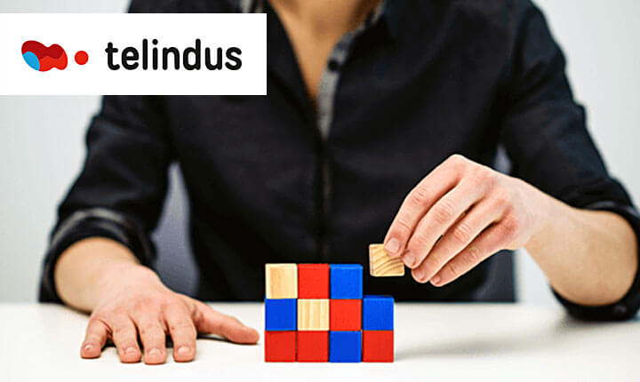 Bespoke extranet service improves procurement at Telindus