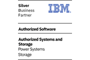 IBM silver business partner logo