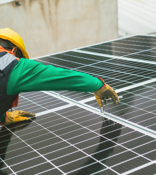 Sustainability
