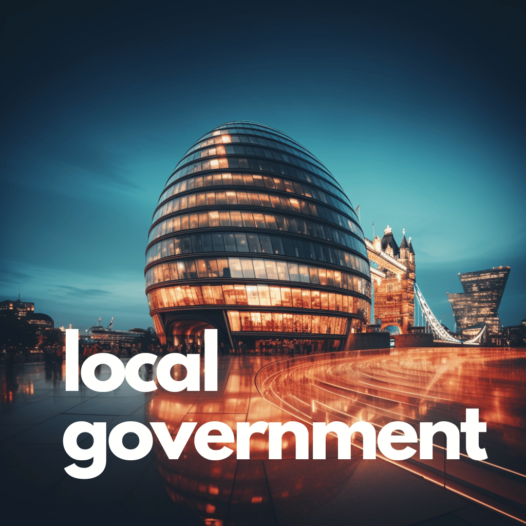 local government