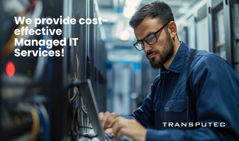 Managed IT Services cost