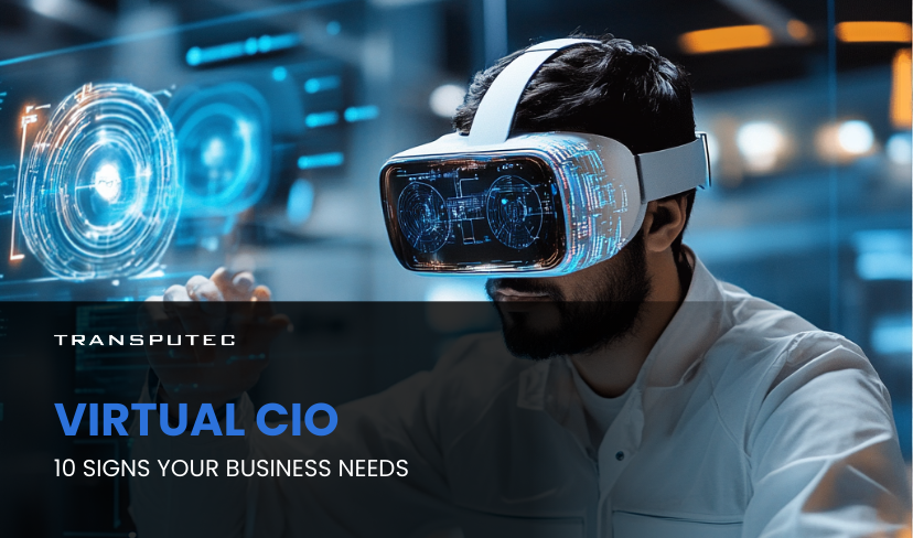 Virtual CIO