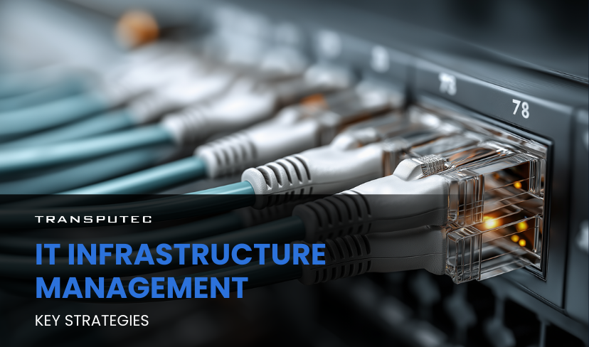 IT Infrastructure Management