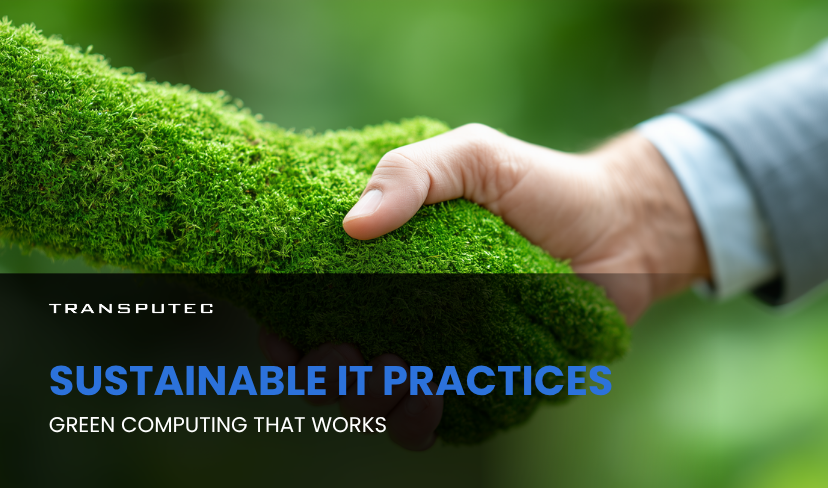 Sustainable IT Practices
