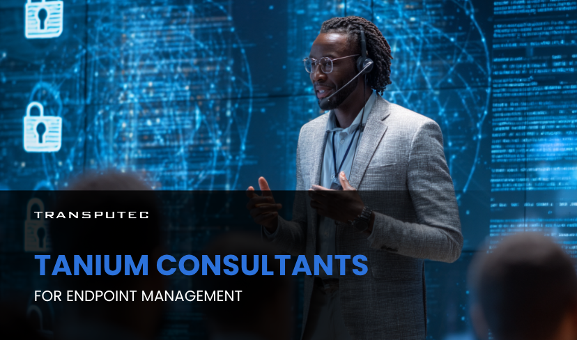 Tanium Consultants