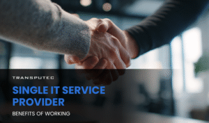 Single IT Service Provider