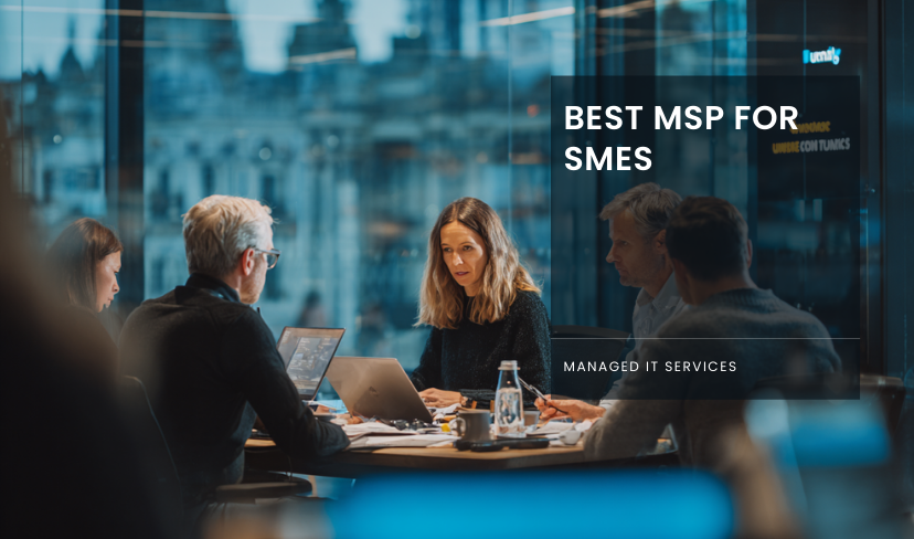 MSP for SMEs
