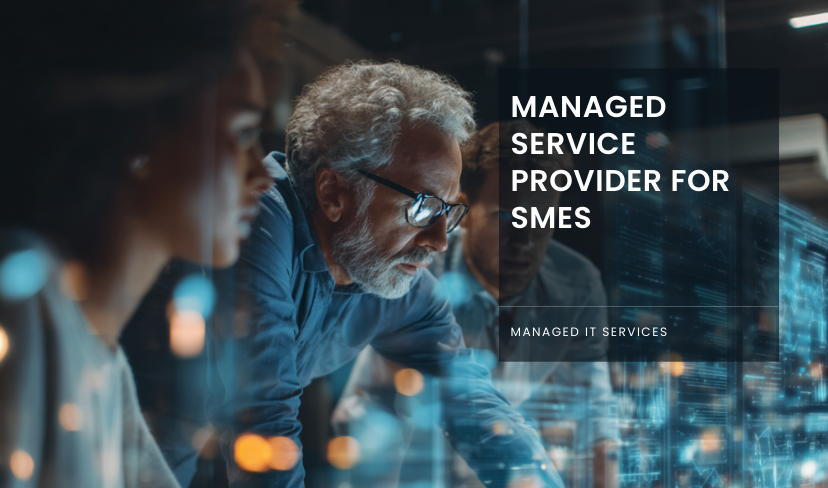 Managed Service Provider do for SMEs