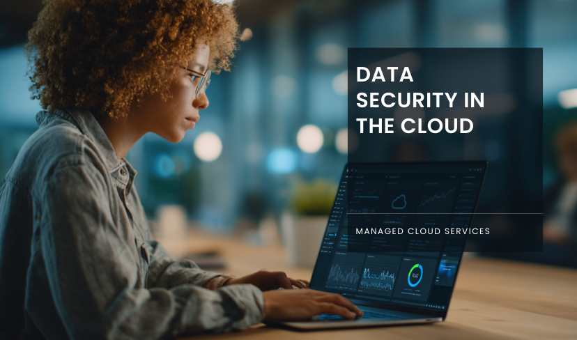Data Security in the Cloud