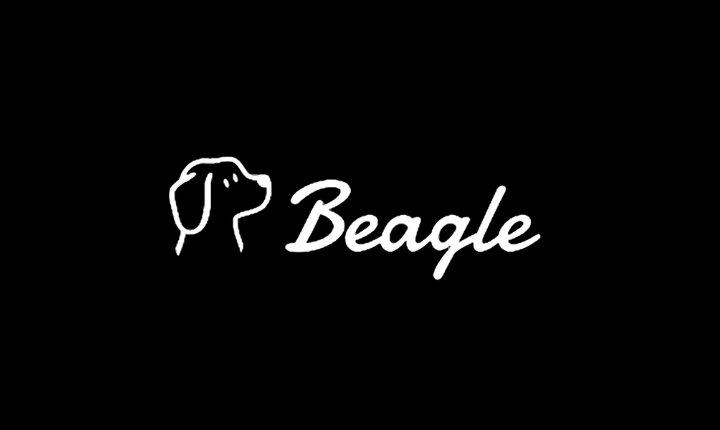 Penetration Testing For Beagle Security